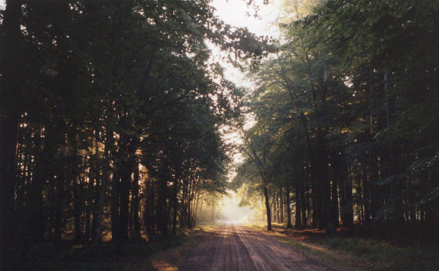 Morgendliche Sinneswanderung