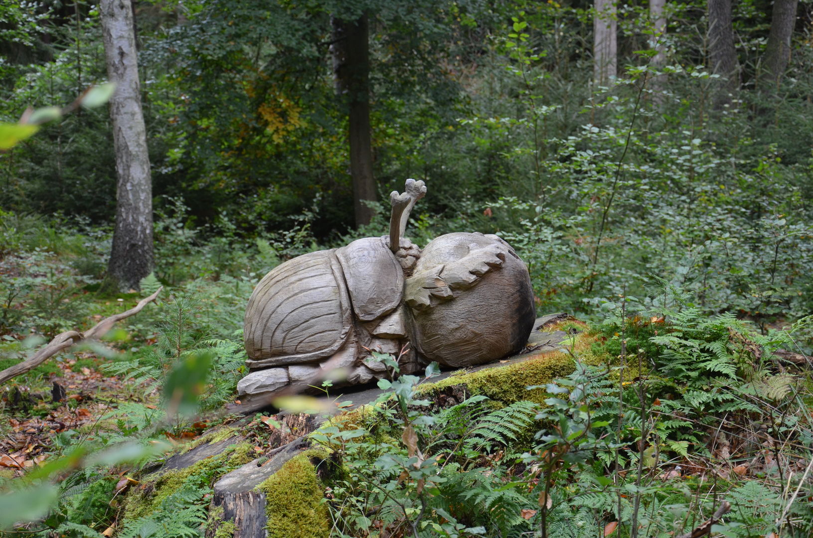 Der Mistkäfer  (Geotrupidae)