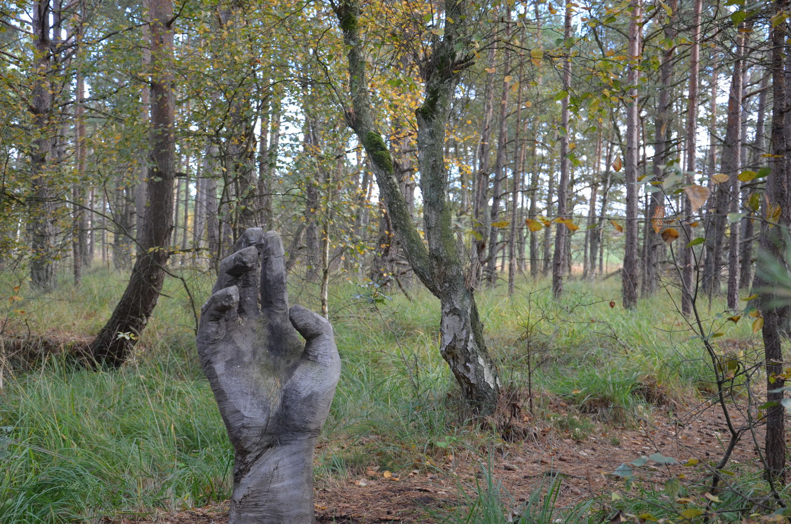 Die Hand im Moor (Sage)